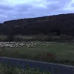 Weisses Ross Garni