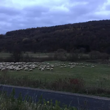Weisses Ross Garni