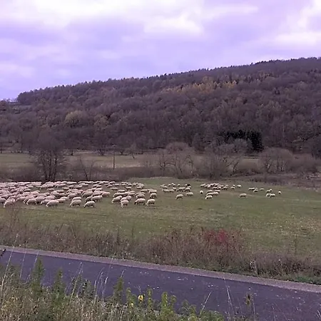 Weisses Ross Garni