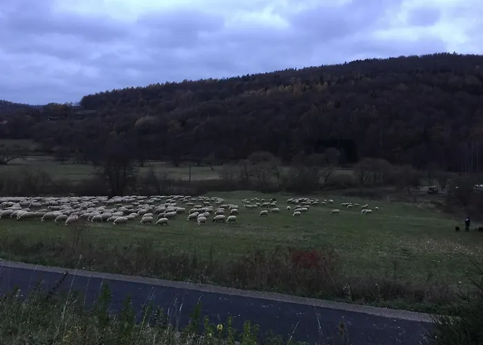 Weisses Ross Garni